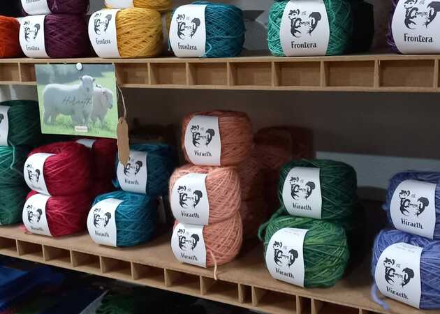 Image gallery Blessed Pause 4