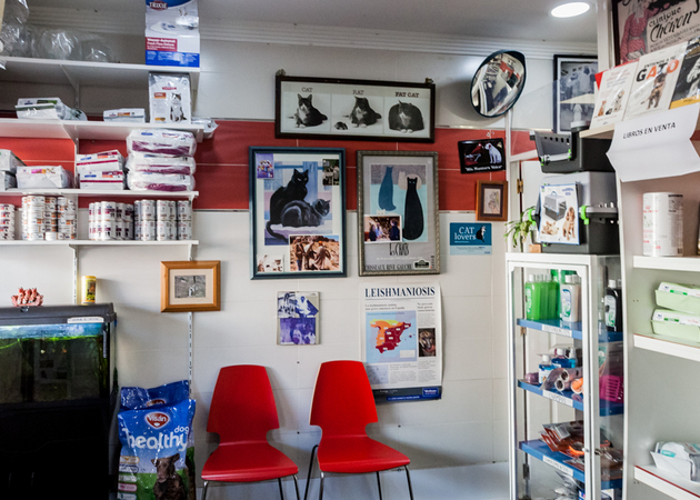 Image gallery Santiago García Carballo Veterinary Clinic 1