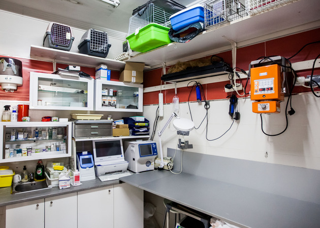 Image gallery Santiago García Carballo Veterinary Clinic 2