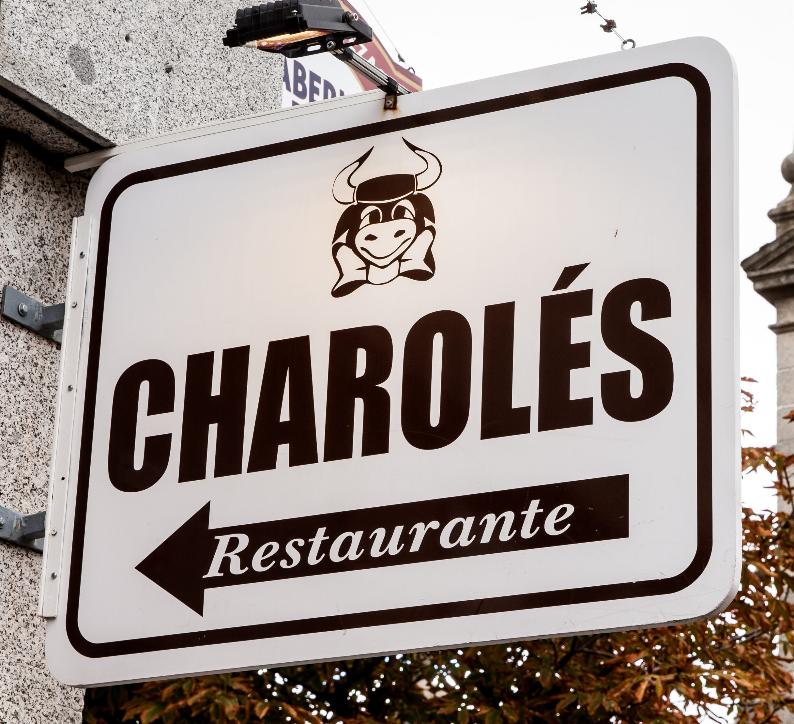 Foto de portada Charolés