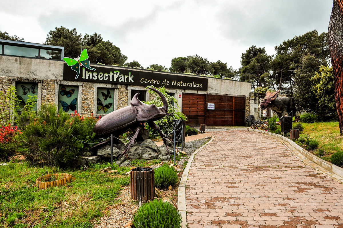 Thumbnail Insectpark