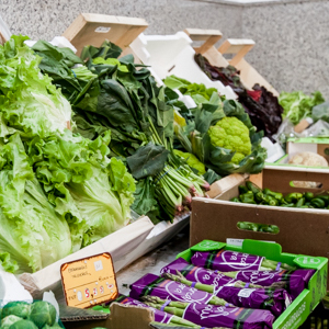 Foto de portada La Frutería